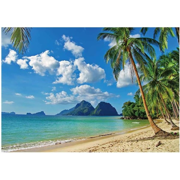 6x4ft Summer Tropical Beach Bakteppe Seaside Island Palmetrær Fotografi Bakgrunn for bilde Blå hav Himmel Solskinn Luau tema
