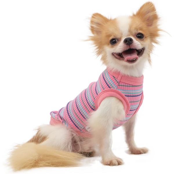 100% bomull ribbstickad hundtröja väst för små hundar Chihuahua valp kläder tank top-rosa-M