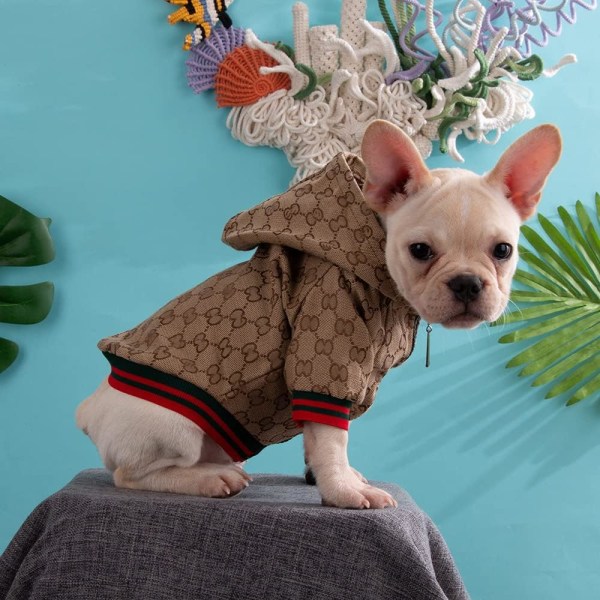 Hunde-hættetrøje Luksus Hundetøj Vinterdesign Små Hundefrakker Varm Pet Hundefrakke Lynlås Design Let af/på Fransk Bulldog Teddy Pug Hvalpetøj(M)