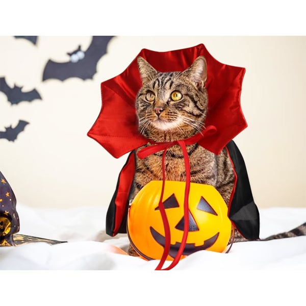 Halloween Katt Vampyrkappa Kostym Halloween Justerbar Röd Svart Husdjur Cape Kostym Kläder, Halloween Husdjur Tillbehör Kostym Outfit Dekor Kåpa