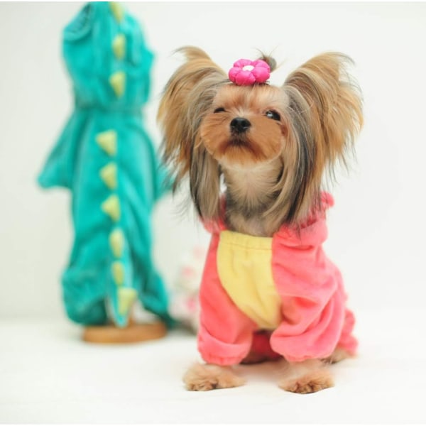 Hund dinosauriedesign kostym rosa husdjurskläder för medelstora och stora hundar (rosa, M)