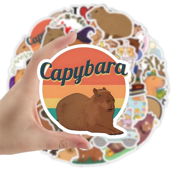100 stk søde tegneserie capybara-klistermærker til børn, piger, teenagere (Capybara)