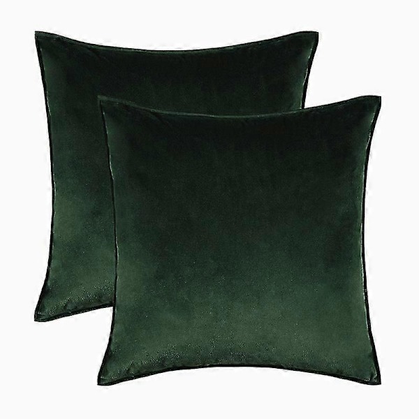 Samettipäällysteinen koristetyynynpäällinen kotiin, superpehmeä plyysinen vyötärötyyny, sohvatyynynpäälliset - koko, väri 30*50cm, munakoison violetti 4