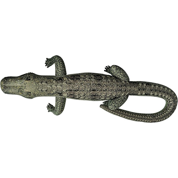 Oppblåsbar Alligator 49 tommer lang Safari Flott for basseng, festdekorasjon, en-Gator