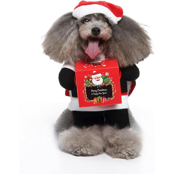 Hund Halloween-kostym - Spooktacular Cosplay-outfit för små-medelstora hundar och katter med hatt ingår - Kläder för husdjurs Halloween-fest (tomten, M)