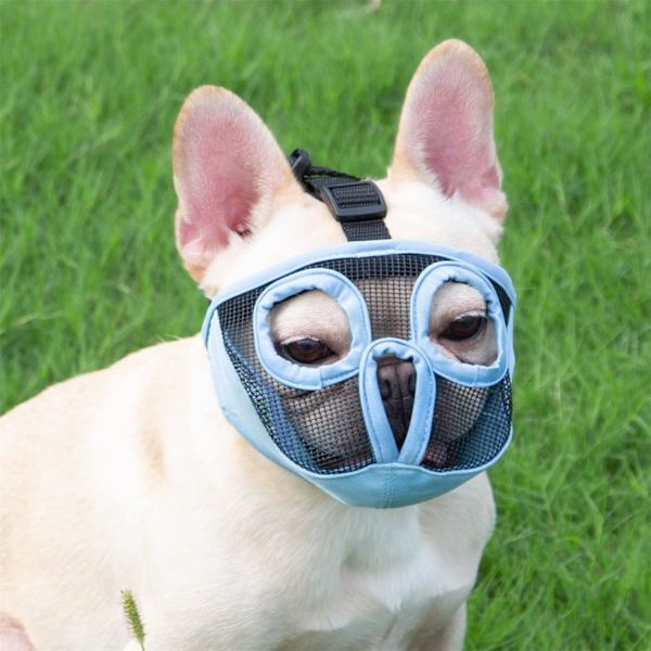 Kort nos hundmunstycke - Justerbart andningsbart mesh bulldogmunstycke för bitning tuggning slickning grooming hundmask, blå, L