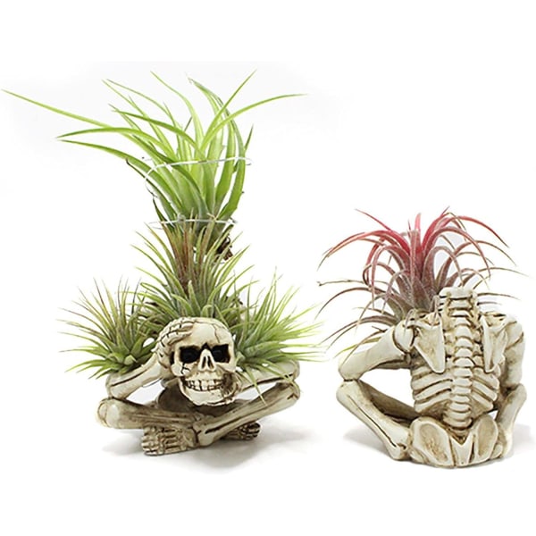 Skeletfigurer Miniaturer | Harpiks skeletstøtte | Kreative kranie ornamenter indendørs hjem til udendørs indretning veranda græsplæne gårdhave