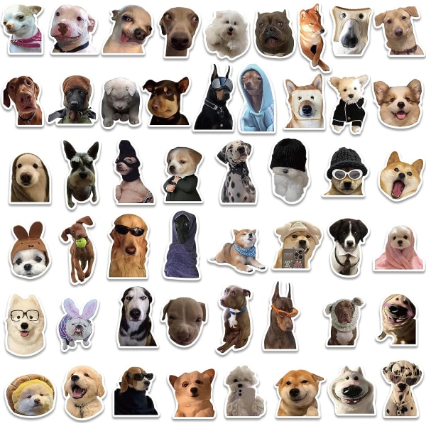 50 kpl Funny Animals Dogs Meemitarrat kannettavaan vesipulloon,Vinyyli vedenpitävät graffititarrat matkatavarapuhelimeen, Aikuisten teini-lahja