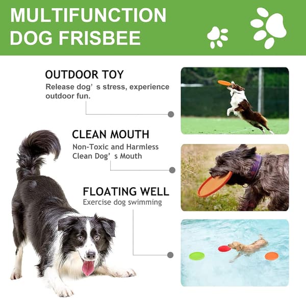 Blå Dream 3-pack hundfrisbees - 22 cm - Gummi