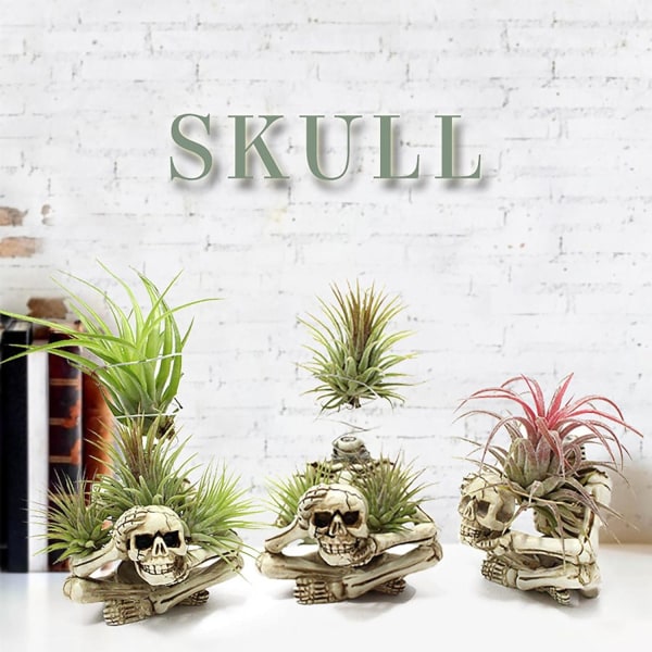 Skeletfigurer Miniaturer | Harpiks skeletstøtte | Kreative kranie ornamenter indendørs hjem til udendørs indretning veranda græsplæne gårdhave