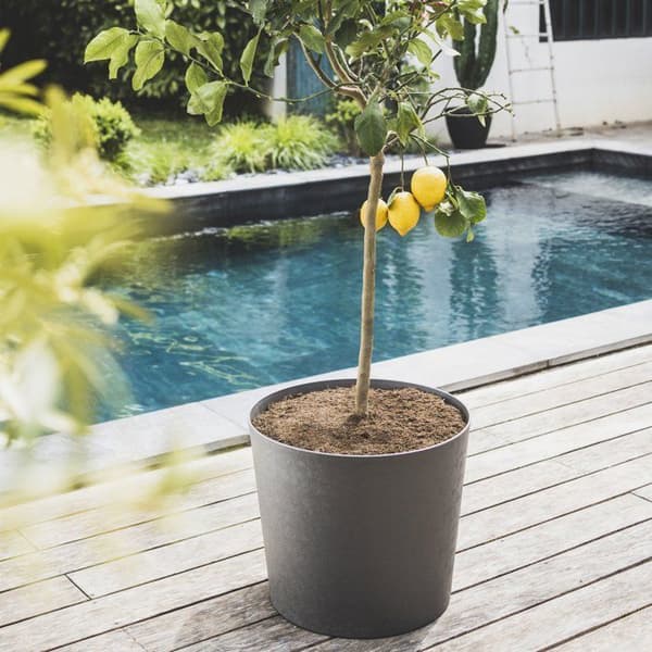 PoeTIC Pot Conical Element 50 - Skiffer