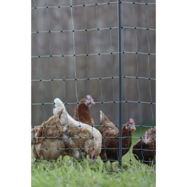 Kerbl Protective Net - Ne Premium - 106 cm x 25 m - grönt - för fjäderfä