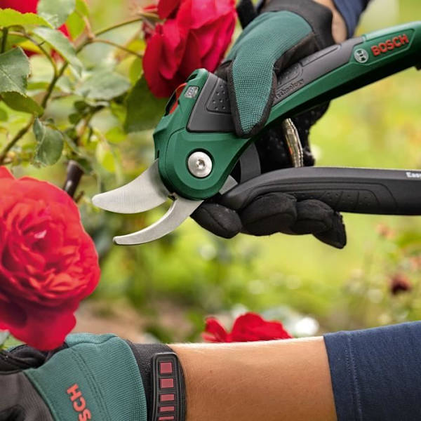 EasyPrune sladdlös beskärare - Bosch