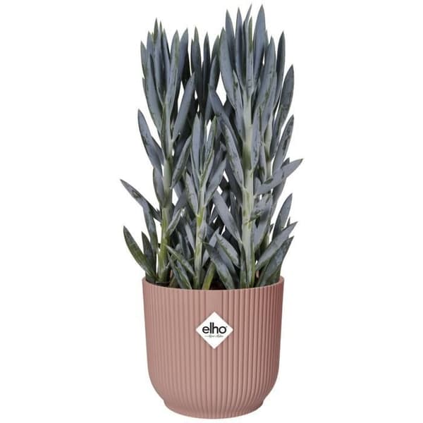 Rund blomkruka vibbar - plast - Ø25 - pulverrosa
