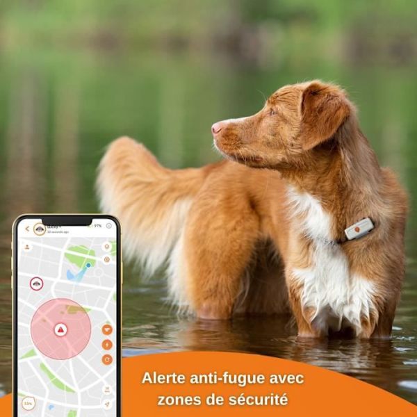 GPS Tracker for Dogs - Weenect XS (White Edition 2023)