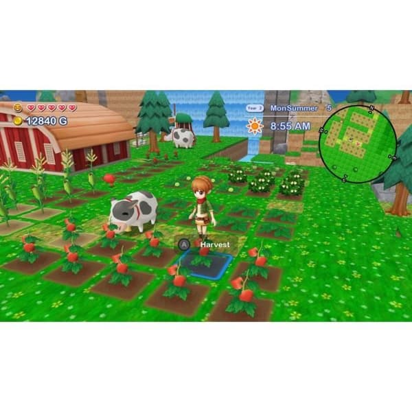 Harvest Moon The Lost Valley + Skytree Village - Samlarutgåva - Nintendo Switch-spel