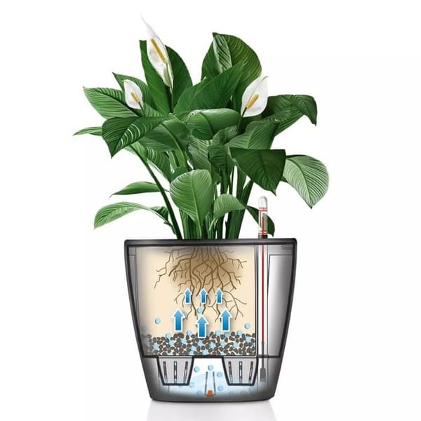 Planteringskärl - LECHUZA - Classico 35 LS ALL-IN-ONE - Blank vit - Bevattningssystem - 13 L