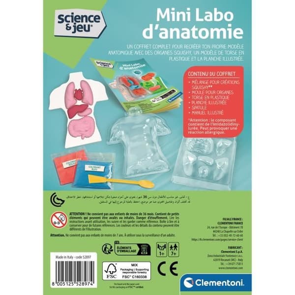 CLEMENTONI Mini-anatomilabb