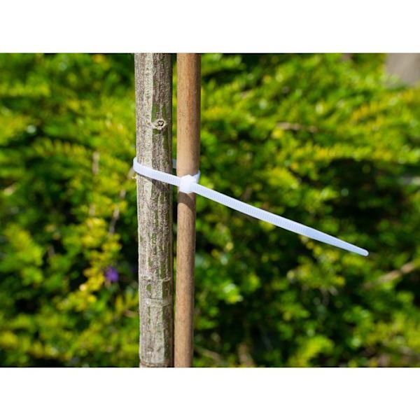 Trädstödkrage - NATURE - 15 cm - 25-pack - Transparent