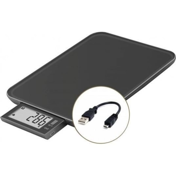 Kulinarisk skala - Slide 10 - Svart - USB - Reparationsbar