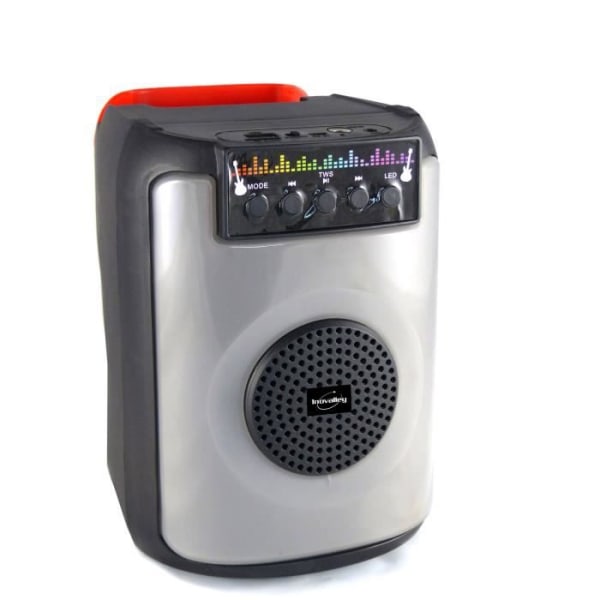 INOVALLEY FIRE01 - Karaoke högtalare - Bluetooth V5.0 - 40 W