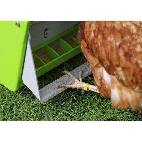 Automatisk matare - KERBL - SmartCoop - Skyddslucka - 7,5 kg - Grön
