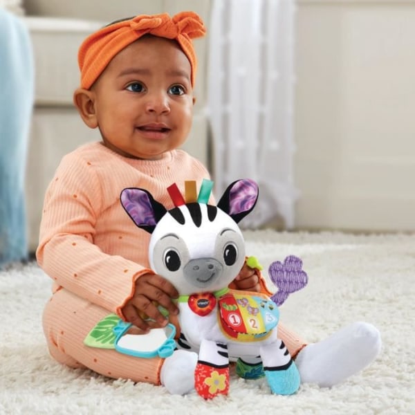 Vtech Baby - Timéo, P'tit Zebre de Aktiviteter