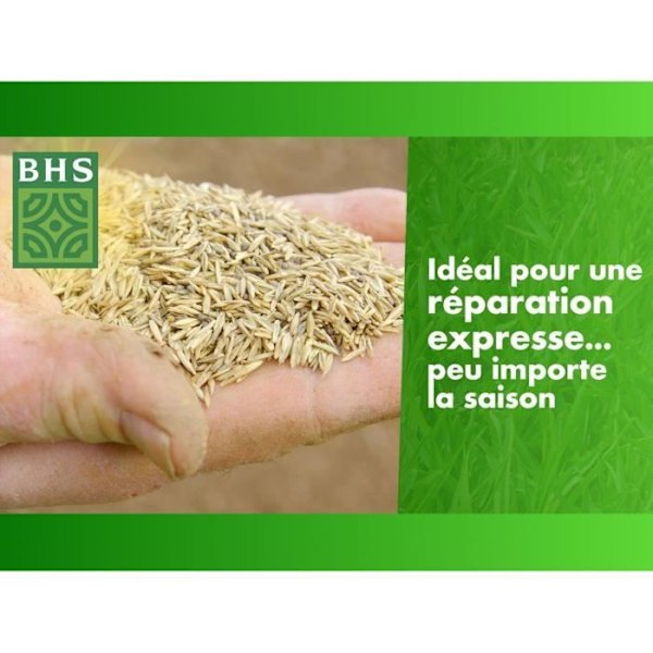 Gräsmatta - BHS - 4-säsong återväxt av gräsmatta - 1 kg