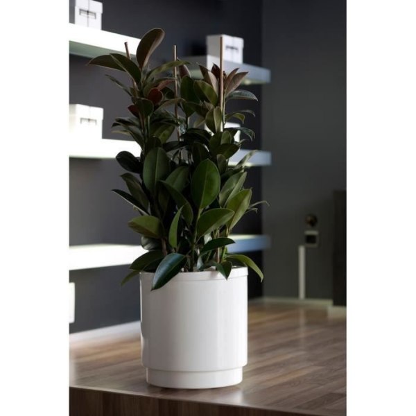 Plastiken Flower Pot With Hidrojardina Water Reserve - Ø48 cm - White