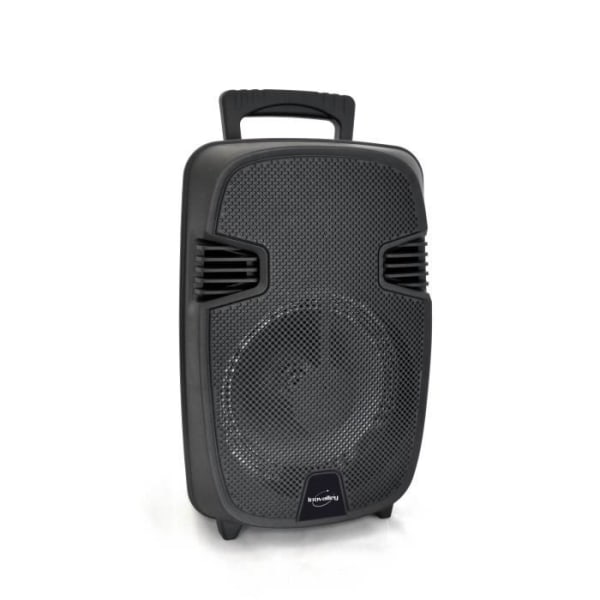 Inovalley KA17 - Lysande karaoke -högtalare Bluetooth 400W - LED -skärm - USB -ingång, FM -radio, mikrofoningång, aux -in