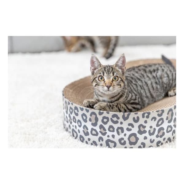Klösbräda - TRIXIE - LEO - Kartong - 63 x 10 x 35 cm - Krämfärgad leopardmönstrad