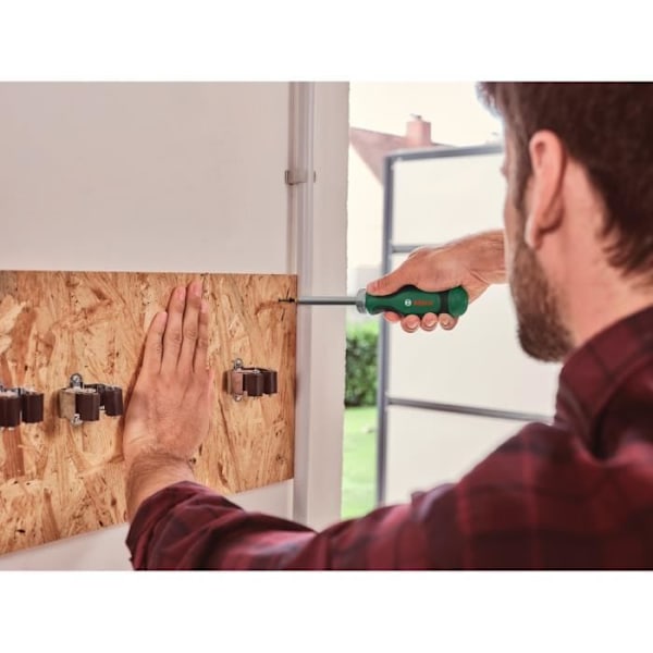 Bosch spärrskruvmejsel 12 bitar