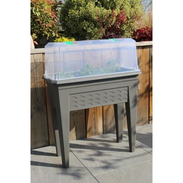 IZISERRE 80 TRANSLUCENT