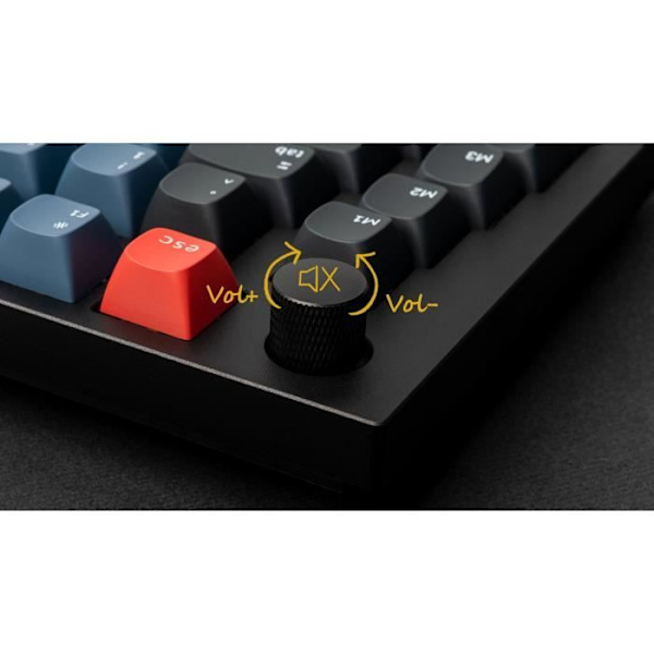 Mekaniskt speltangentbord - Brun mekanisk switch - KEYCHRON Q10 - ANSI - RGB-bakgrundsbelysning