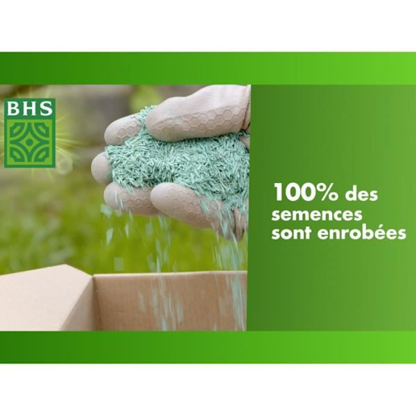 Gräsmatta - BHS - Seaside Lawn 3 kg | Resistent mot vind, torka och salt | Vacker, attraktiv och robust sommargräsmatta.