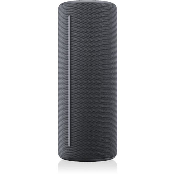 LoeWE bärbar trådlös högtalare - We. HEAR 1 - Bluetooth - 40W - IPX6 - 14 timmars batteritid - Stormgrå