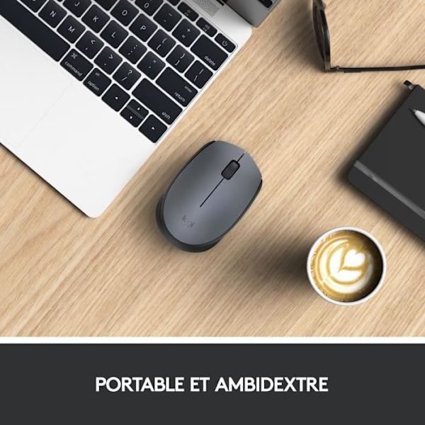 LOGITECH M170 trådlös mus - grå