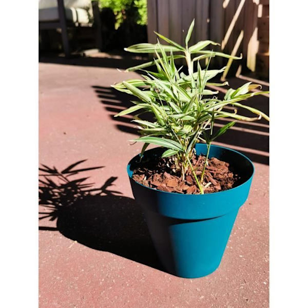 RIVIERA SOLEILLA rund blomlåda - Plast - Diameter 60 cm - Blå