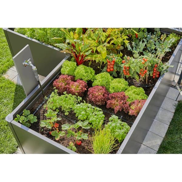 Startpaket för planteringsrader - upp till 35 plantor - 13455-20