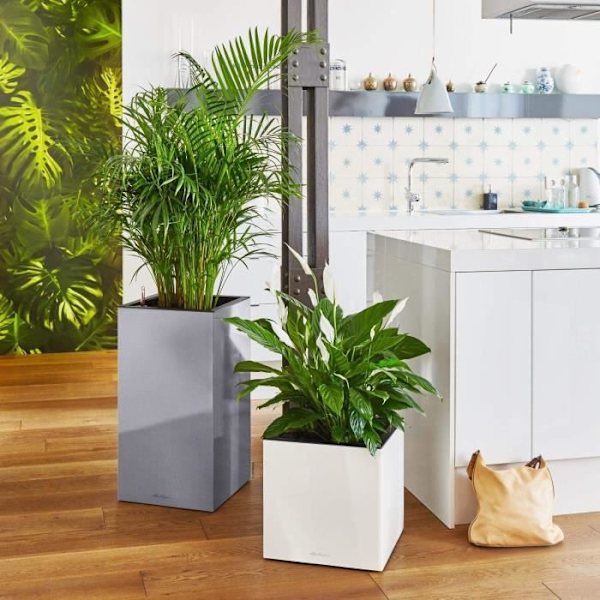 LECHUZA Canto Premium Cube 40 blomkruka - komplett set, metallic antracit