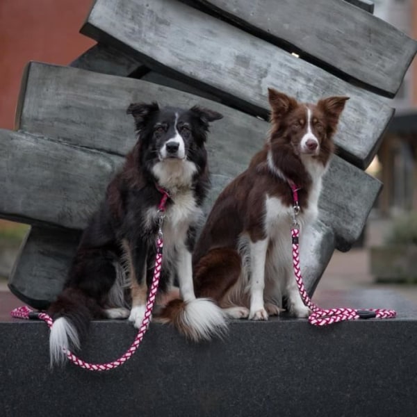 TRIXIE Cavo justerbart koppel - LXL: 2m - ø 18 mm - Fuchsia och grafitgrå