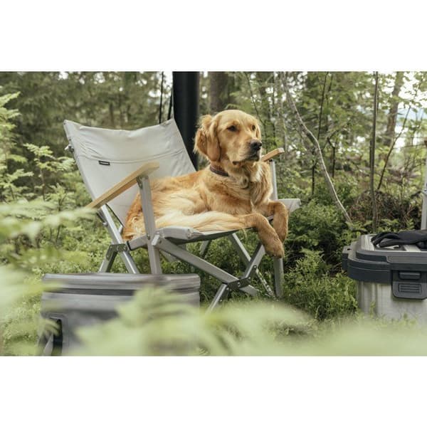 Campingstol - DOMETIC - Kompakt campingstol ask - Aluminium - 600D polyester - Beige