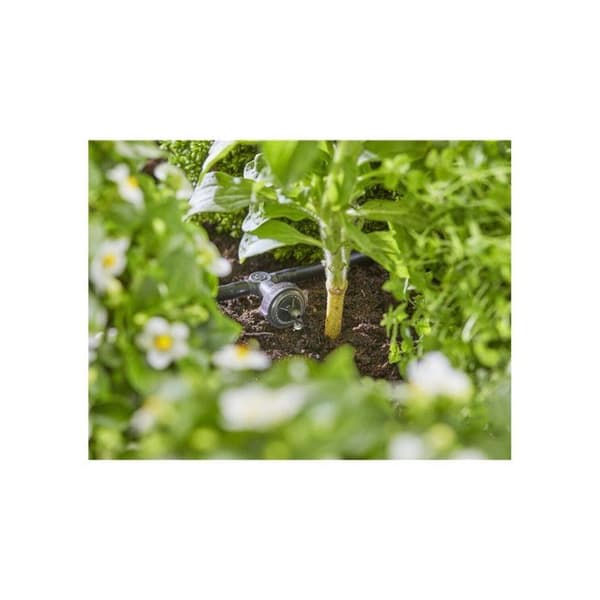 Startpaket för planteringsrader - upp till 35 plantor - 13455-20