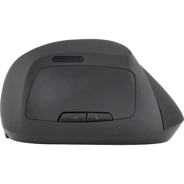 Ergonomisk mus - Trådlös - Bluestork - Optisk - 1200 dpi - 6 knappar - PC / MAC