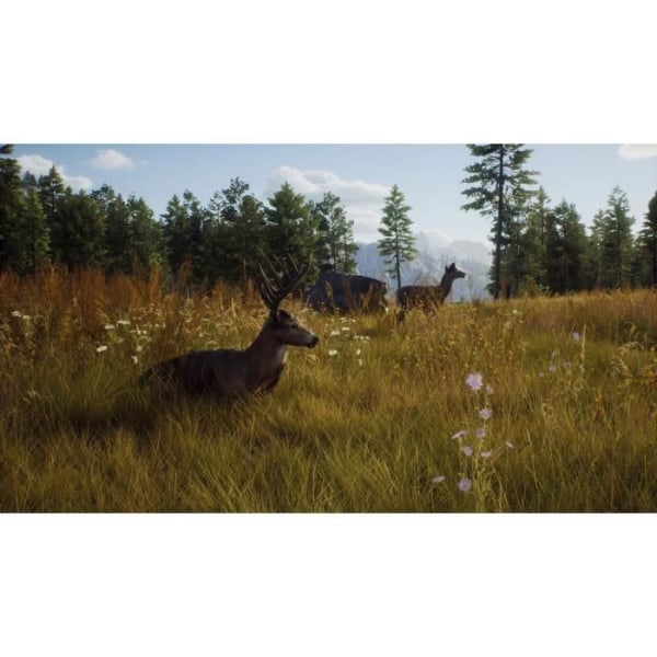 Way of the Hunter - Hunting Season One - Xbox-serien