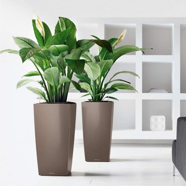 Blomkruka - LEC - Cubico Premium 50 - metalliskt silver - väderbeständig