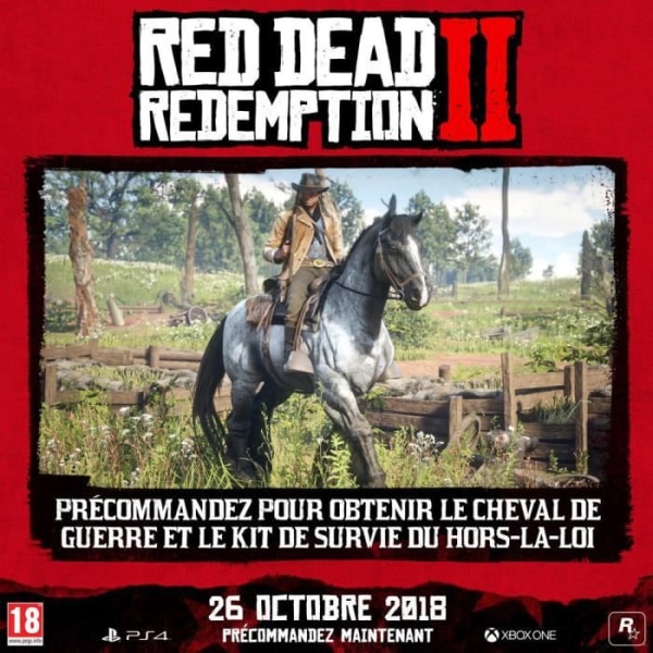 Red Dead Redemption 2 PS4-spel