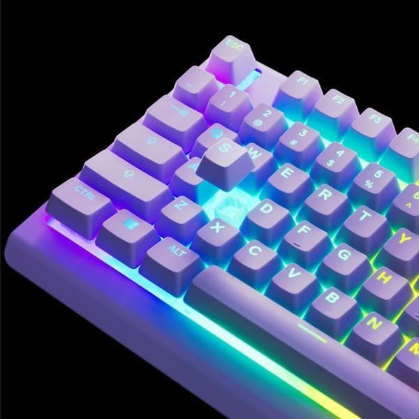 Trådbundet speltangentbord - STEELSERIES - Apex 3 TKL - Azerty - Lavendel