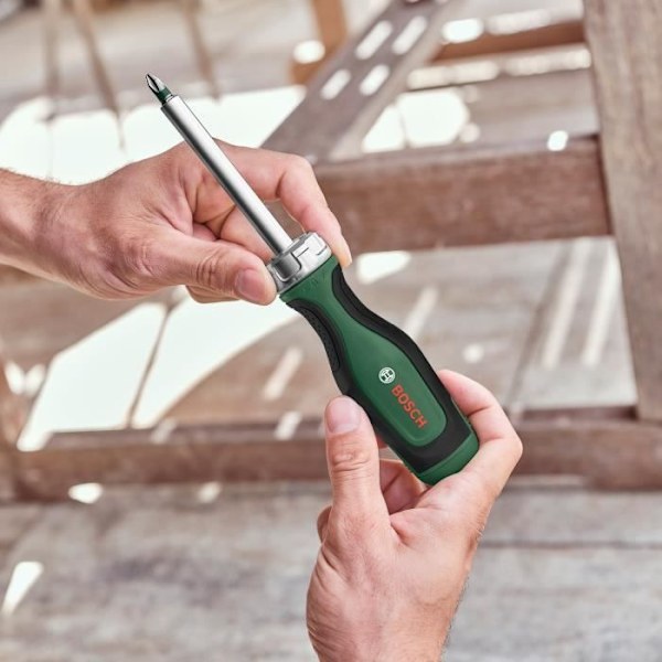 Bosch spärrskruvmejsel 12 bitar