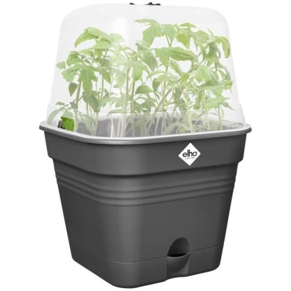 Green Basic Square Flower Pot - Plast - Tank - Ø20 - Svart